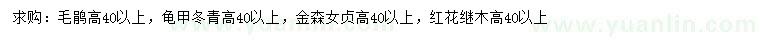 求購毛鵑、龜甲冬青、金森女貞等
