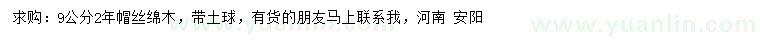 求購9公分絲綿木