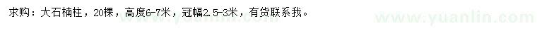 求購高6-7米大石楠柱