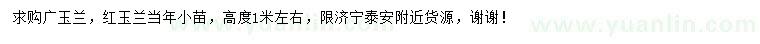求購(gòu)高1米廣玉蘭、紅玉蘭