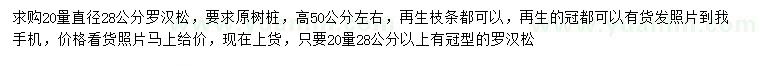 求購20量28公分羅漢松