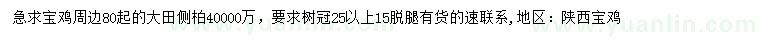 求購80公分以上大田側(cè)柏