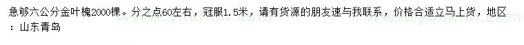 求購(gòu)6公分金葉槐