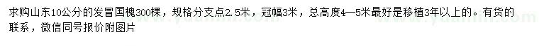 求購10公分國槐