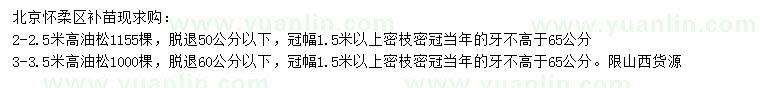 求購高2-2.5、3-3.5米油松