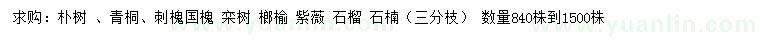 求購(gòu)樸樹、青桐、刺槐等