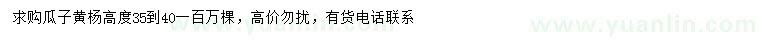 求購(gòu)高35-40公分瓜子黃楊