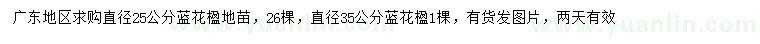 求購(gòu)直徑25、35公分藍(lán)花楹