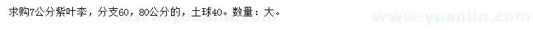 求購(gòu)7公分紫葉李