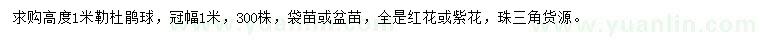求購高1米勒杜鵑球