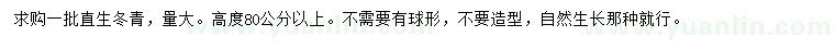 求購(gòu)高80公分以上冬青