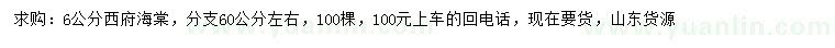 求購6公分西府海棠