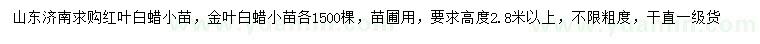 求購(gòu)高2.8米以上紅葉白蠟小苗、金葉白蠟小苗