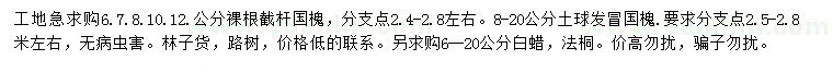 求購(gòu)國(guó)槐、白蠟、法桐