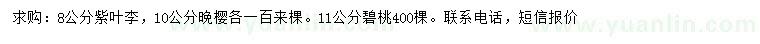 求購(gòu)紫葉李、晚櫻、碧桃