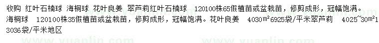 求購紅葉石楠球、海桐球、花葉良姜等