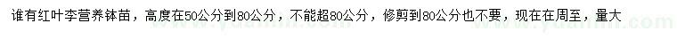 求購(gòu)高50-80公分紅葉李小苗
