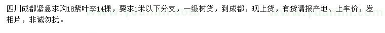 求購18公分紫葉李