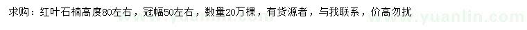 求購高80公分紅葉石楠