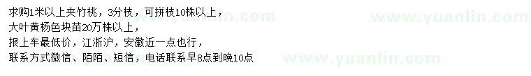 求購1米以上夾竹桃、大葉黃楊