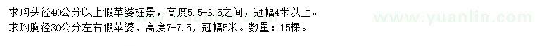 求購頭徑40公分以上假蘋婆樁景、胸徑30公分假蘋婆