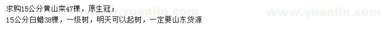 求購15公分黃山欒、白蠟
