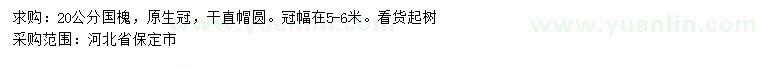 求購20公分國槐