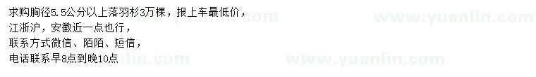求購胸徑5.5公分以上落羽杉
