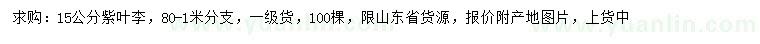 求購15公分紫葉李