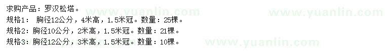 求購胸徑10、12公分羅漢松塔
