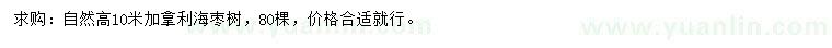 求購(gòu)高10米加拿利海棗