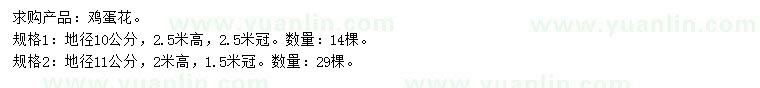 求購地徑10、11公分雞蛋花