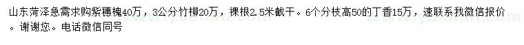 求購紫穗槐、竹柳、丁香