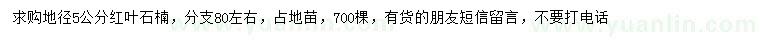 求購(gòu)地徑5公分紅葉石楠