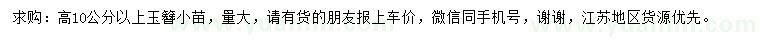 求購高10公分以上玉簪小苗