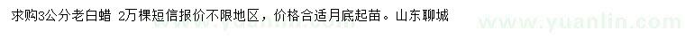 求購3公分老白蠟