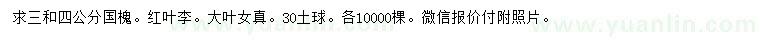 求購(gòu)國(guó)槐、紅葉李、大葉女貞