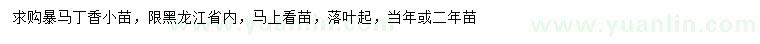 求購(gòu)暴馬丁香小苗