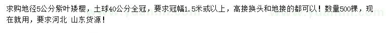 求購地徑5公分紫葉矮櫻