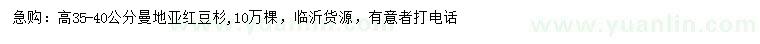 求購高35-40公分曼地亞紅豆杉