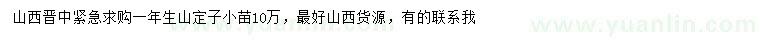 求購一年生山荊子小苗