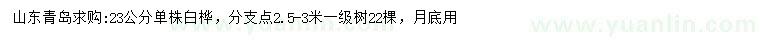 求購23公分白樺