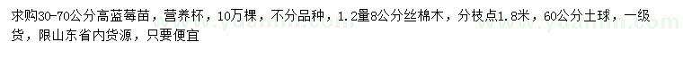 求購高30-70公分藍(lán)莓苗、1.2米量8公分絲棉木