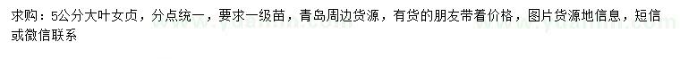 求購5公分大葉女貞