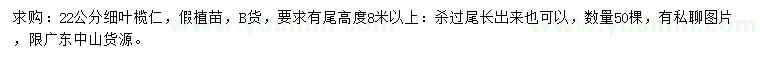 求購(gòu)22公分細(xì)葉欖仁