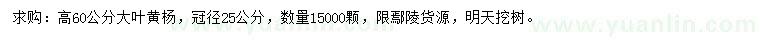 求購(gòu)高60公分大葉黃楊