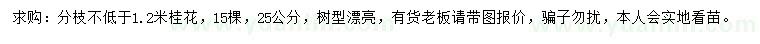 求購25公分桂花