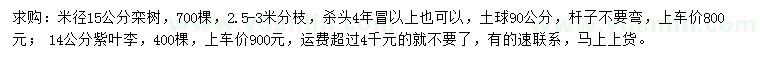 求購米徑15公分欒樹、14公分紫葉李