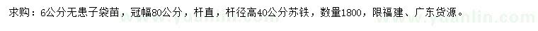 求購6公分無患子、高40公分蘇鐵