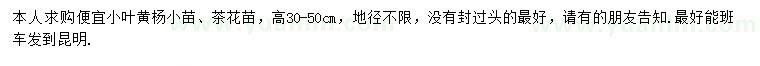 求購(gòu)高30-50公分小葉黃楊、茶花苗